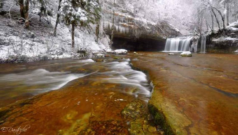 white over the gour bleu.jpg